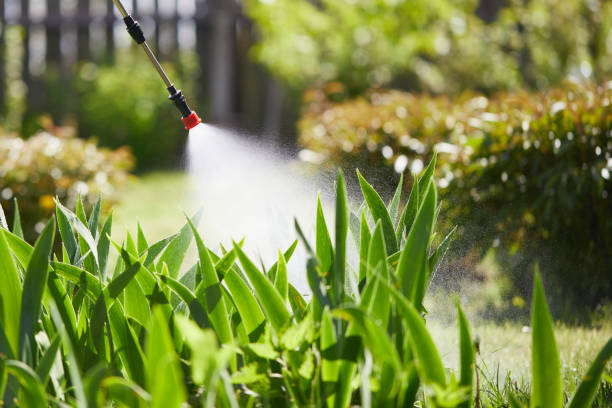 Tamper-Resistant Bait Stations for Rodents in Chico