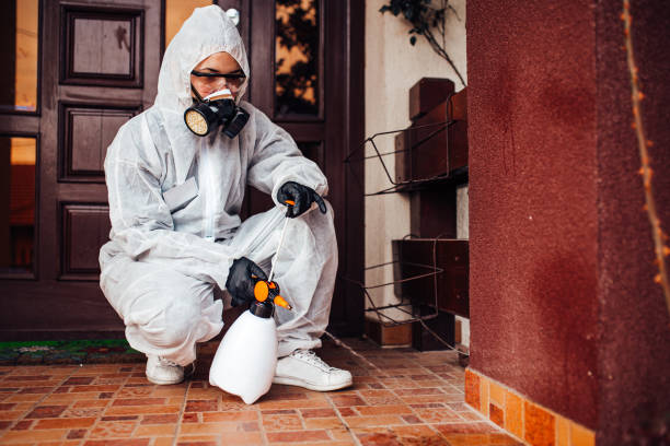 Attic and Crawl Space Rodent Treatment in Chico